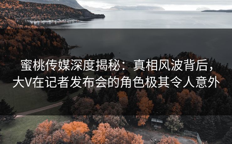 蜜桃传媒深度揭秘：真相风波背后，大V在记者发布会的角色极其令人意外